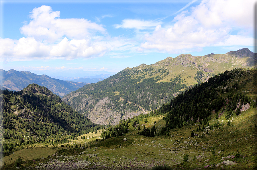 foto Forcella di Montalon